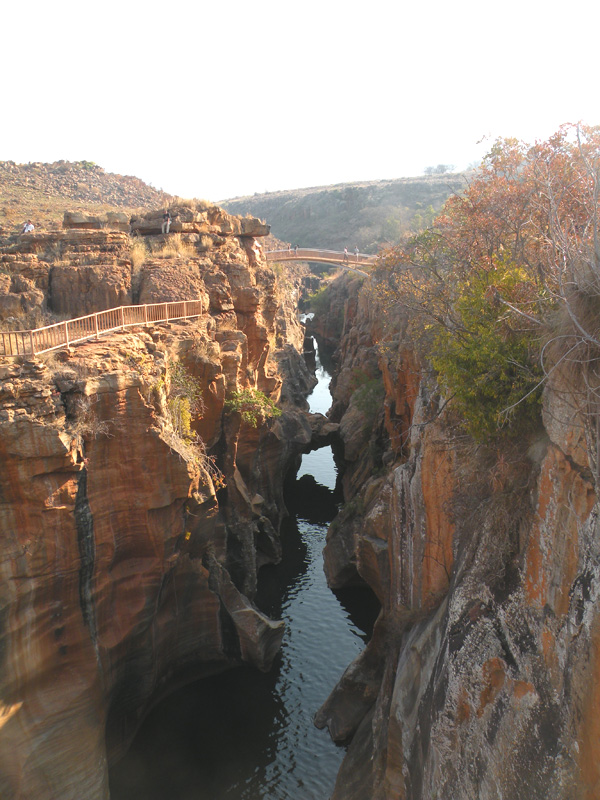 Lichen Trail in Sud Africa